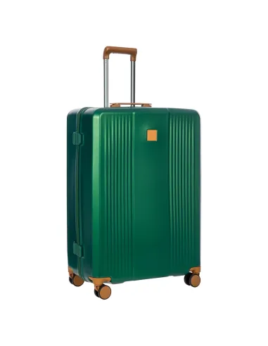 Trolley grande Brics verde