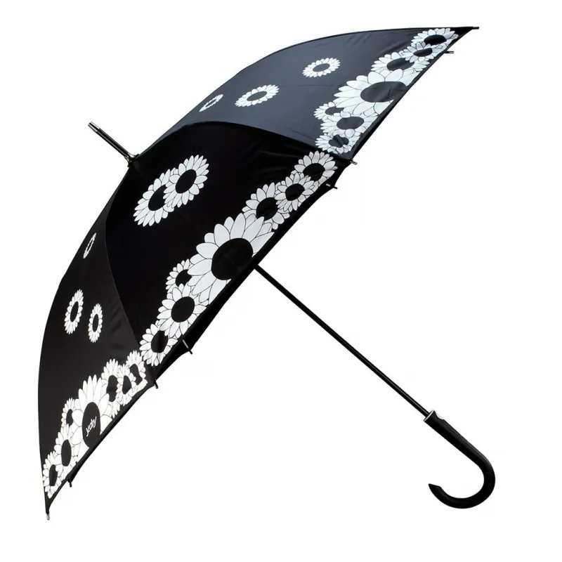 Y_Dry Sunflowers automatic long umbrella white