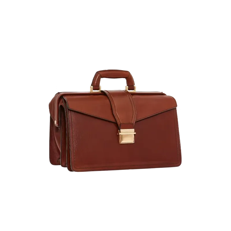 The Bridge Dante Doktortasche braun