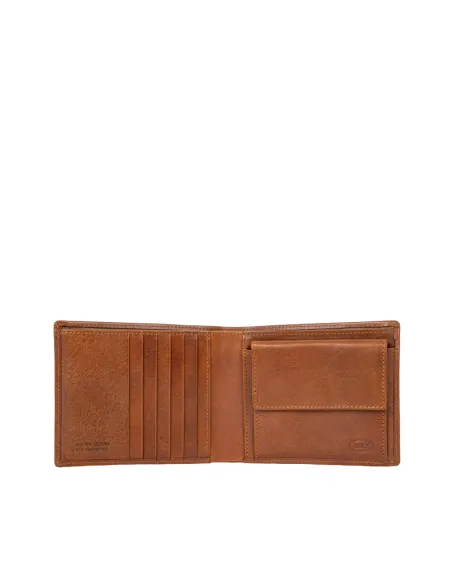 Bric's Monte Rosa Men's wallet with  coin pocket brown