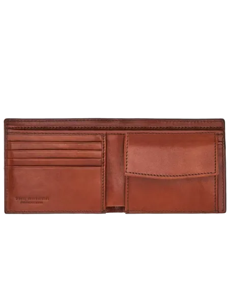 The Bridge Alberto Men's wallet with coin pocket, brown