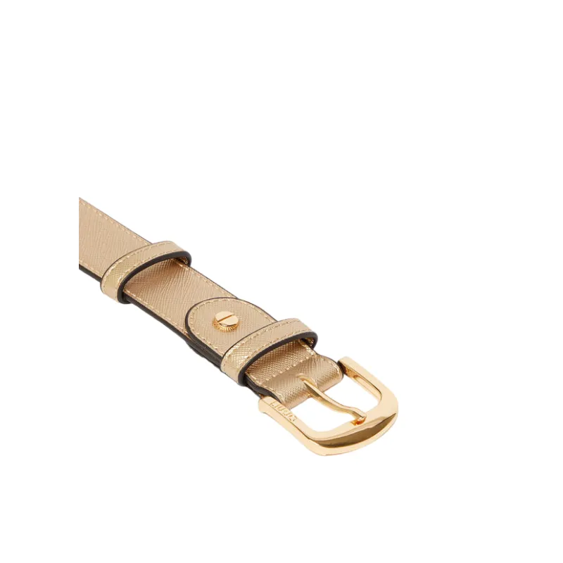 Liu Jo woman belt, light gold 2