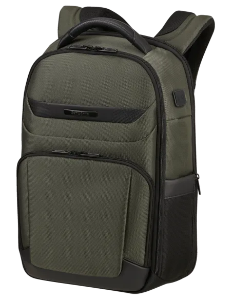 Samsonite Pro-Dlx Laptop Backpack, green