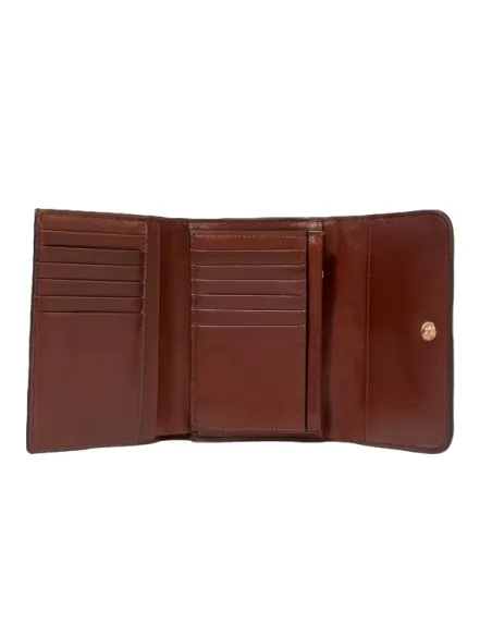 The Bridge Domitilla women's leather wallet with external coin pocket, brown