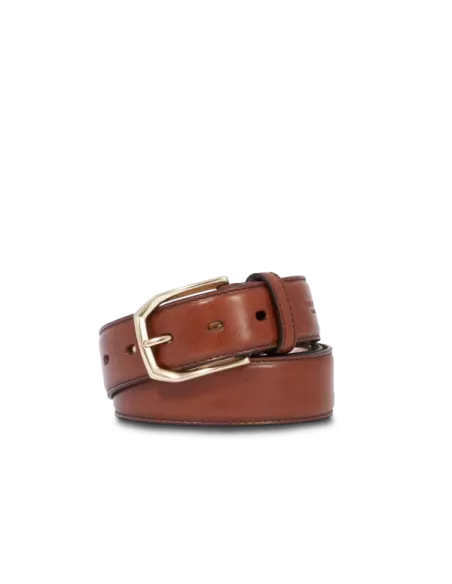 The Bridge Brunelleschi men's leather belt, brown