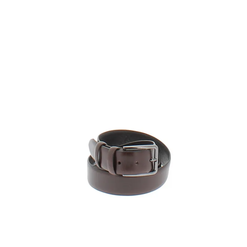 Men's belt, dark brown