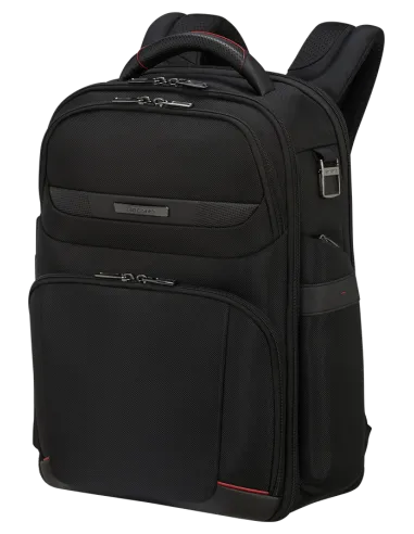 Samsonite Pro-Dlx travel backpack...