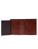 The Bridge Damiano vertical men's wallet with coin purse, brown