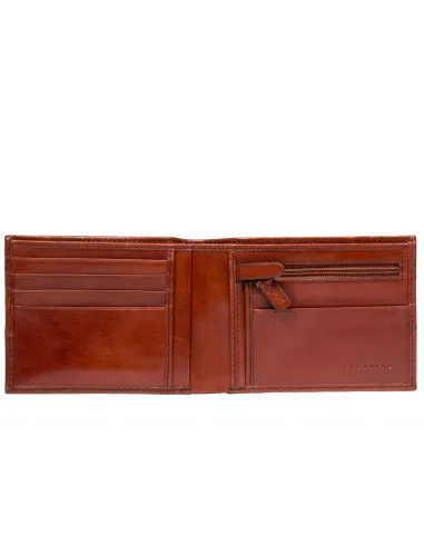 The Bridge Damiano men's zipped wallet with coin purse, brown