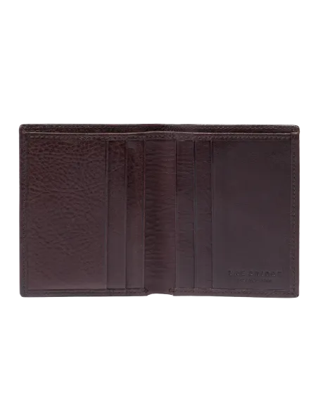 The Bridge Fabio small vertical men's wallet, dark brown