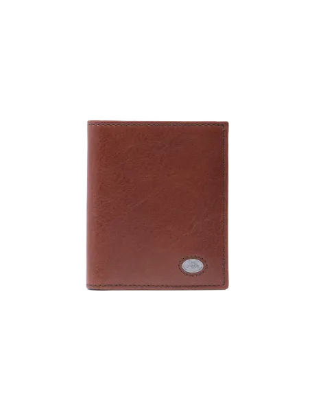 The Bridge Fabio small vertical men's wallet, brown