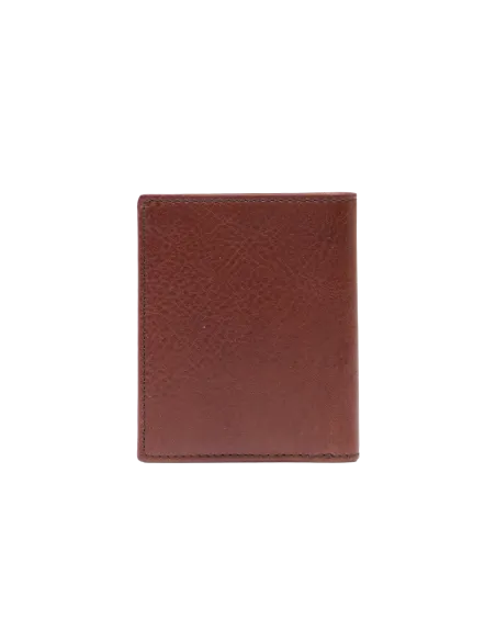 The Bridge Fabio small vertical men's wallet, brown