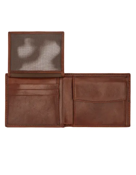 The Bridge Vespucci men's wallet, brown