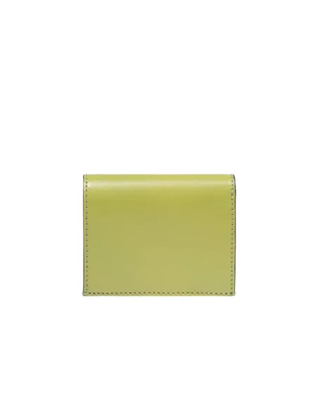 The Bridge Lucrezia small leather women's wallet, Pistachio